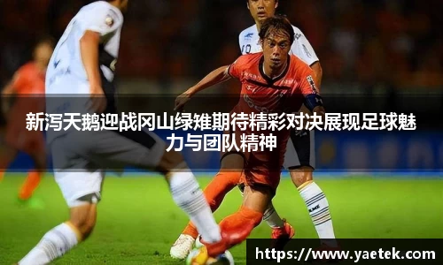 新泻天鹅迎战冈山绿雉期待精彩对决展现足球魅力与团队精神